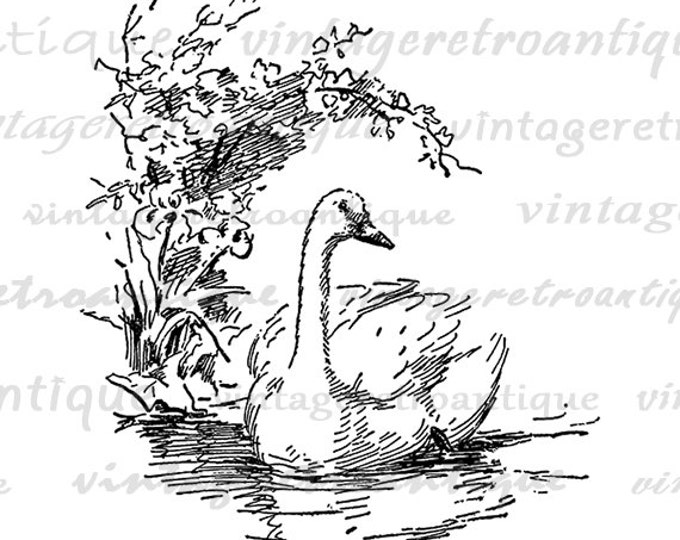 Printable Duck Graphic Image Illustration Download Bird Digital Antique Clip Art Jpg Png Eps HQ 300dpi No.3775