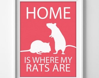 8x10" Rats Wall Art, Pet Rats gift, Rats Decor, Rats Lover, Rats Christmas Gift, Pet Rats Art, Rat Present, Rats Birthday, Rats Love