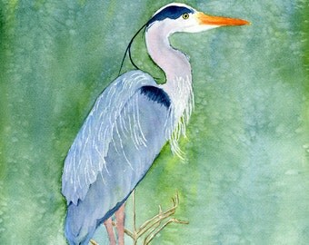 Watercolor Blue Heron Blue Heron Print