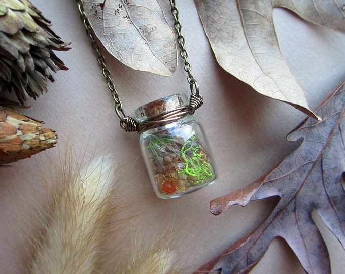 Terrarium necklace "Forest" with faceted agate, Swarovski crystals, cicada wing, dried moss, acorns & flowers. Custom length chain.