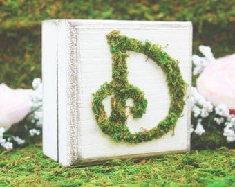 Garden Wedding Decor, Bridesmaid Box, Green Wedding, Bridesmaid Gift, Gold Wedding, Fairy garden, Wedding, Moss