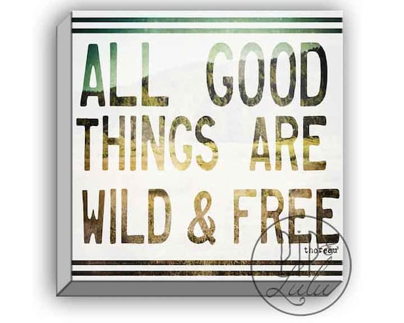 all good things are wild and free meaning