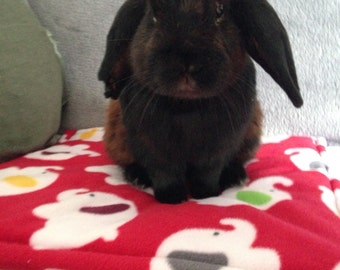 Custom made to order small animal waterproof lap pad (guinea pigs, hedgehogs, rabbits etc)