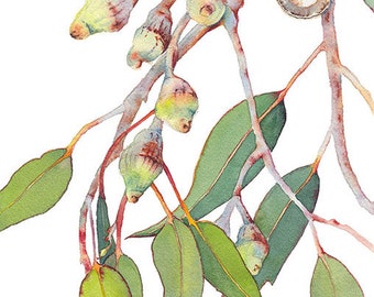 Eucalyptus watercolor print - A4 botanical print - Australian native gum tree vertical wall art print - Australian art - nature picture