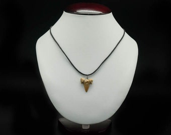 Shark Tooth Necklace: Non Adjustable Cord