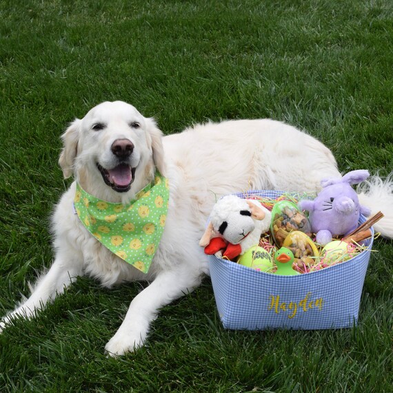 Personalized Easter Baskets Gingham Pet Toy Basket for your