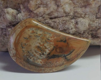 Owyhee Picture jasper cabochon