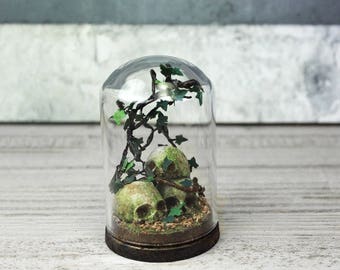 Terrarium Skulls Moss - Miniature Glass Dome Display - Leaf- Home Decor -Goth- Antique Look 2.75 x 1.73 inches / 7 x 4,4 cm