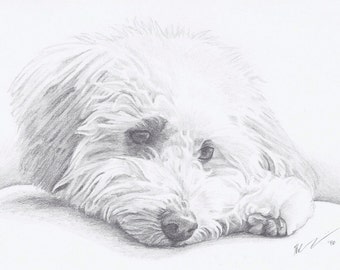 Custom Pet Portrait 5x7" - Drawing From Your Photo - Single Subject