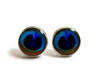PEACOCK EARRING STUDS - Blue earrings - Peacock wedding - bridesmaids earrings - Peacock earrings - Peacock feather