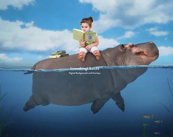 Digital Background ~ Digital Backdrop ~ Hippo ~ Water