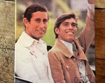 Prince Charles - British Royal Family - Prince Andrew - 1970s jigsaw puzzle - royal puzzle - calgary - kitsch jigsaw - royal memorabilia