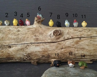 Amazin Miniature Birds - Fairy Garden Birds - Doll House Birds