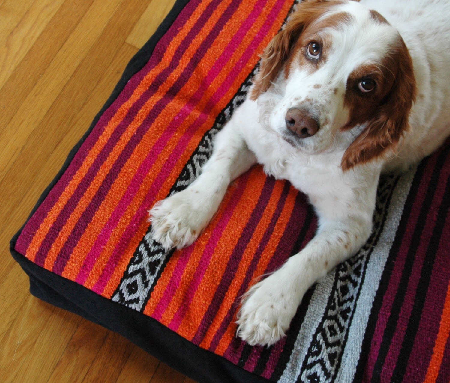 Mexican Design Blanket Dog Bed Cover Pet Bed Machine