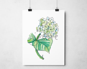 Original Print: Phlox