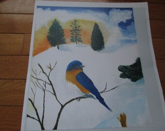 Bluebird, Sunset and Lake