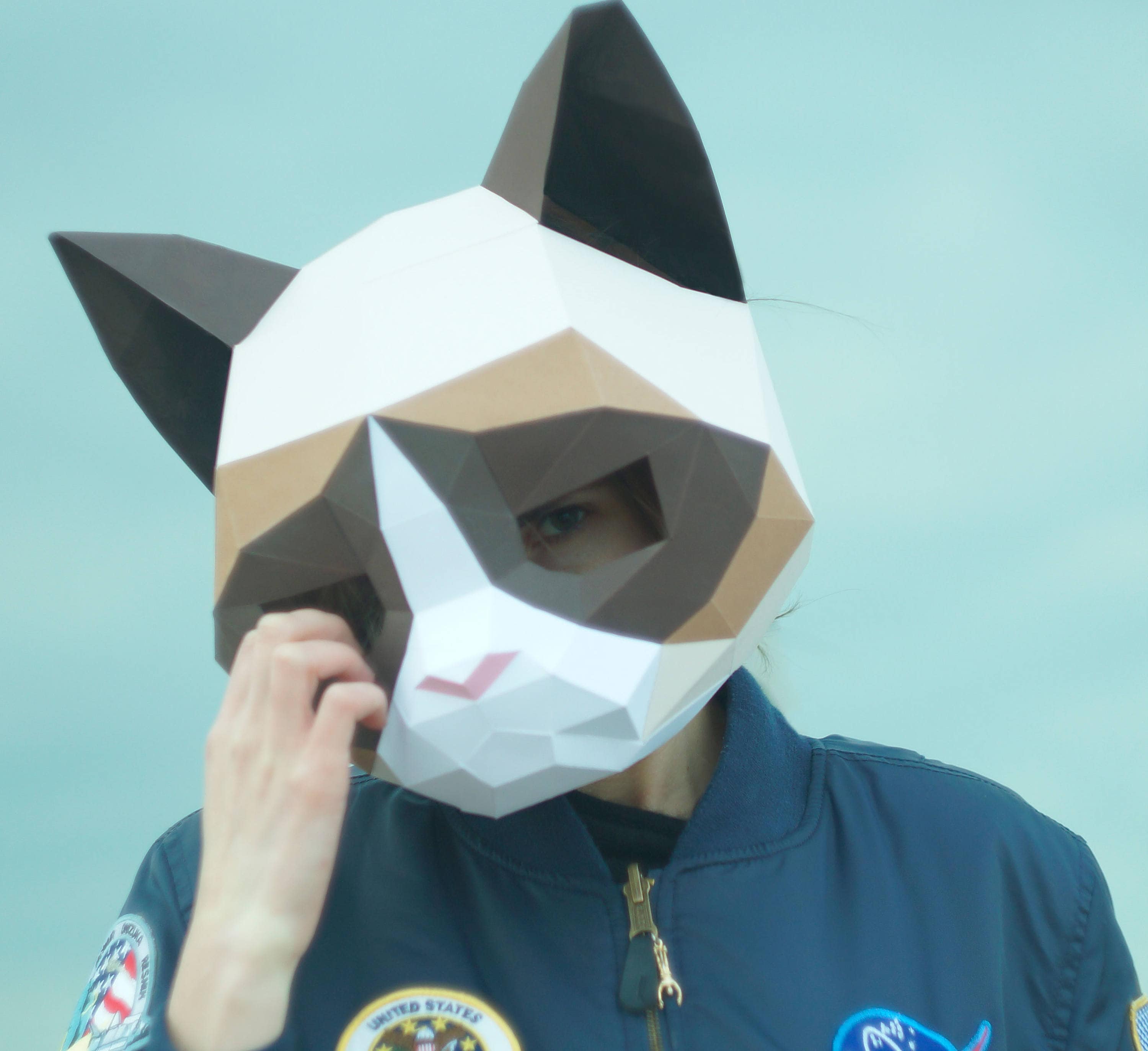 Grumpy Cat MaskDIY Animal HeadPdf DownloadPaper