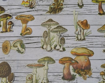 28 Piece Vintage Mushroom Sticker Set