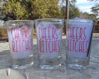Shot Glasses, bridal shot glasses, party shot glasses, cheers bitches shot glass, set of shot glasses