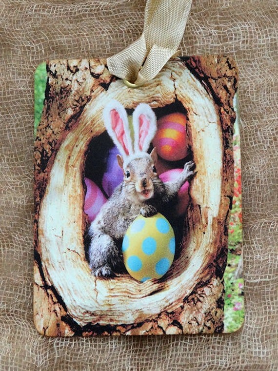 Squirrel Dressed Up As Easter Bunny With Easter Eggs Gift or