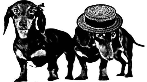 dachshund weiner dog clipart png clip art Digital graphics