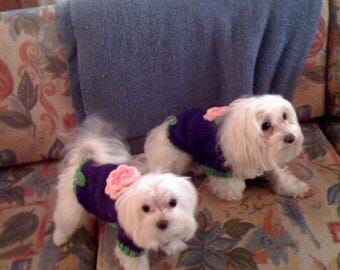 Dog Sweater Coat - Size SMALL - Rosetta