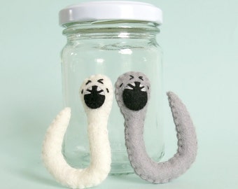 Hookworms in a Jar Parasite Decor Worms Display Intestinal Parasite Specimen