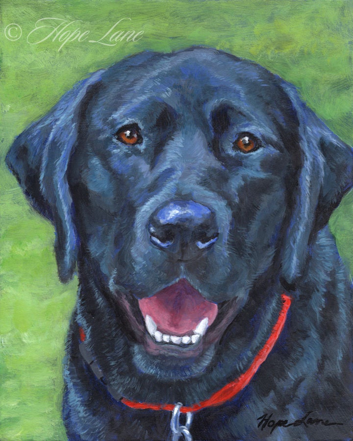 Black Lab Custom Pet Portrait Painting Black Dog Art