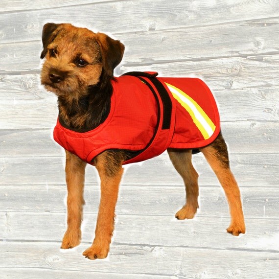 Winter Dog Coat custom made with tummy panel and reflective
