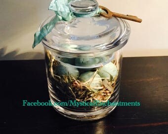 Apothecary Jar Robins nest with eggs