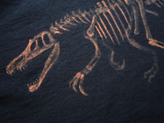 baryonyx fossil