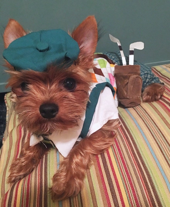 Dog Costume Dog Golfer Costume Halloween Dog Costume dog