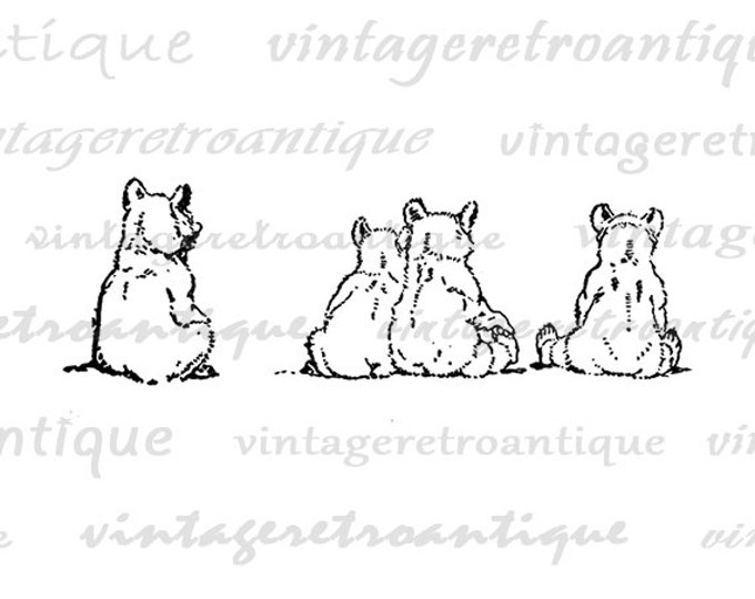 Bear Cubs Image Printable Download Bears Graphic Illustration Digital Vintage Clip Art Jpg Png Eps HQ 300dpi No.924