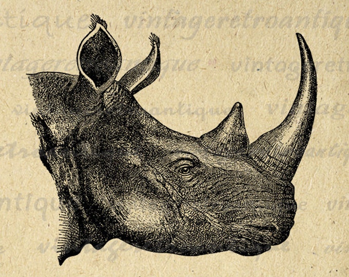 Printable Graphic Rhinoceros Digital Rhino Image Download Illustration Vintage Clip Art Jpg Png Eps HQ 300dpi No.2551