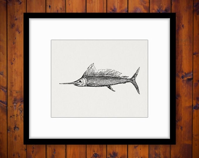 Printable Swordfish Graphic Digital Fish Image Download Vintage Clip Art Jpg Png Eps HQ 300dpi No.595