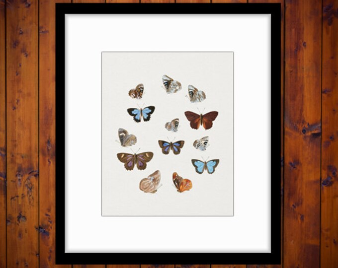 Printable Images Butterflies Color Collage Sheets Digital Graphic Download Antique Clip Art HQ 300dpi No.814