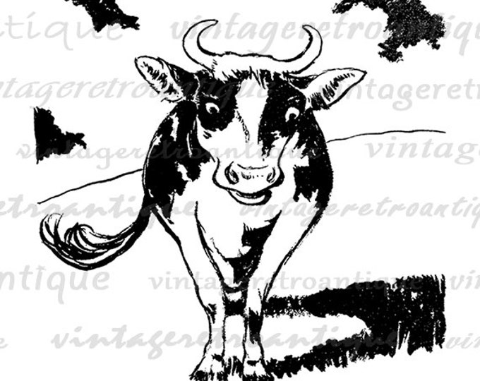 Digital Graphic Cow Image Farm Animal Download Printable Vintage Clip Art Jpg Png Eps HQ 300dpi No.2015