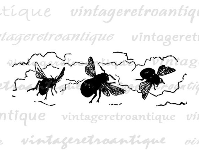 Printable Graphic Three Bees Download Image Digital Artwork Vintage Clip Art Jpg Png Eps HQ 300dpi No.2404