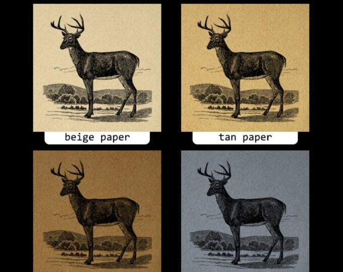 Antique Deer Graphic Digital Printable Image Deer Illustration Download Vintage Clip Art Jpg Png Eps HQ 300dpi No.2201