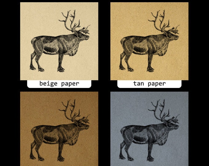 Reindeer Deer Printable Graphic Image Download Digital Illustration Antique Clip Art Jpg Png Eps HQ 300dpi No.2172