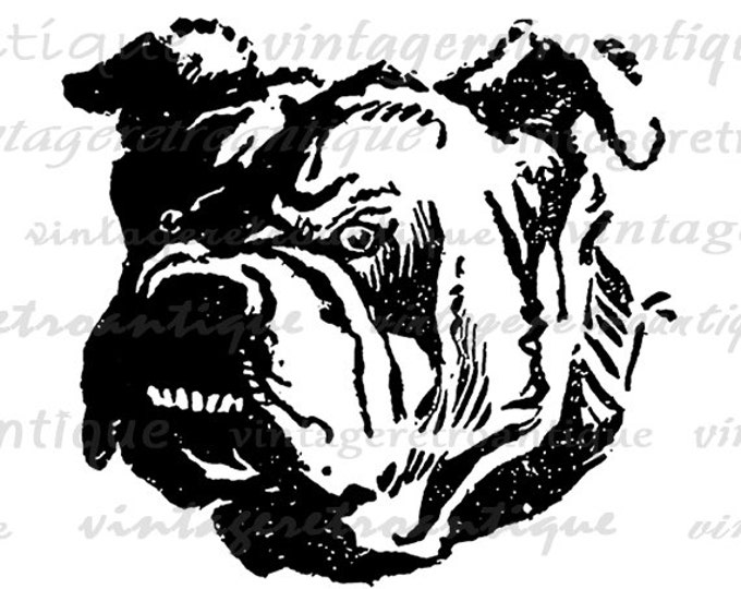 Bull Dog Graphic Printable Digital Bulldog Download Image Vintage Clip Art Jpg Png Eps HQ 300dpi No.060