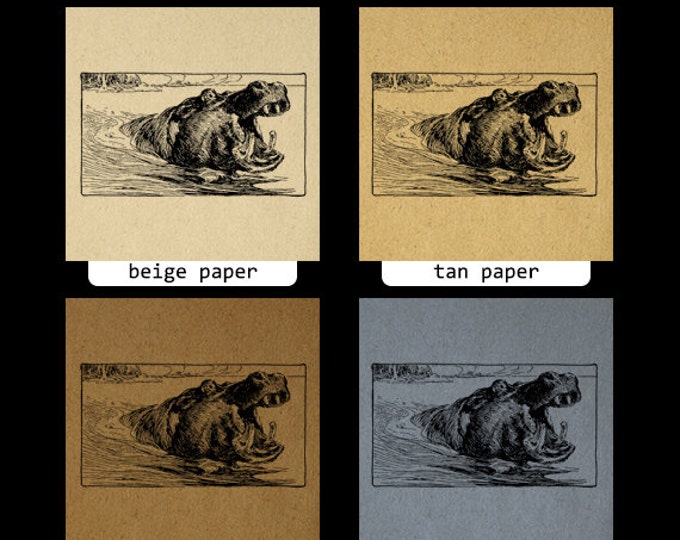 Digital Image Antique Hippo Printable Hippopotamus Graphic Download Vintage Clip Art Jpg Png Eps HQ 300dpi No.3026