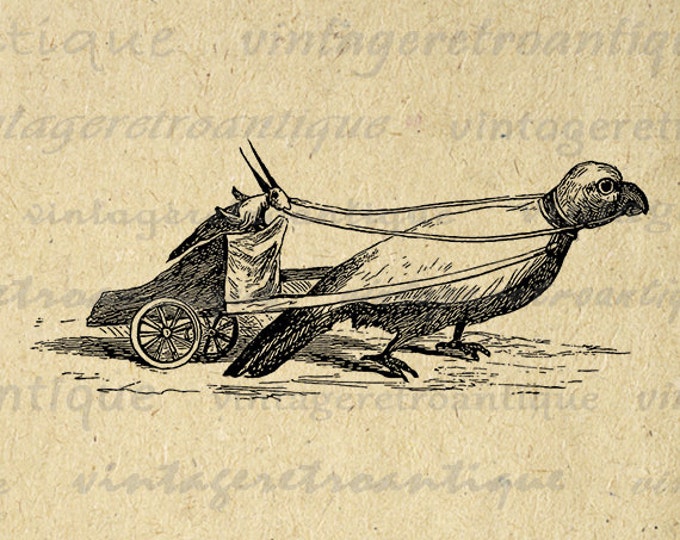 Grasshopper Driving Bird Chariot Carriage Printable Image Digital Graphic Download Antique Clip Art for Transfers etc HQ 300dpi No.2760