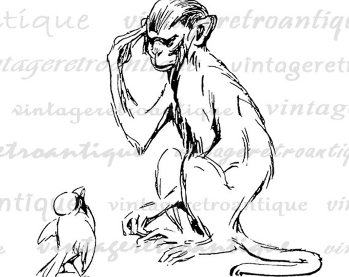 Printable Monkey and Bird Image Graphic Digital Download Artwork Antique Clip Art for Transfers Printing etc HQ 300dpi No.2847