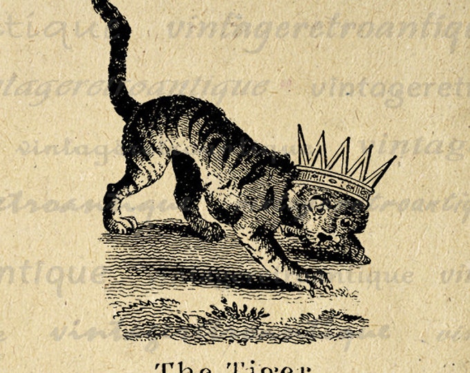 Printable Tiger with Crown Image Digital Cat Graphic Illustration Download Vintage Clip Art Jpg Png Eps HQ 300dpi No.1079