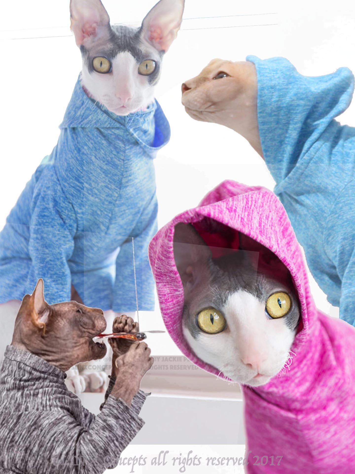 Cat Clothes Buy Three get one 50 0ff Sunscreen Sphynx Cat