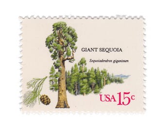 10 Unused Vintage Postage Stamps - 1978 15c American Trees Series - Giant Sequoia - No. 1764