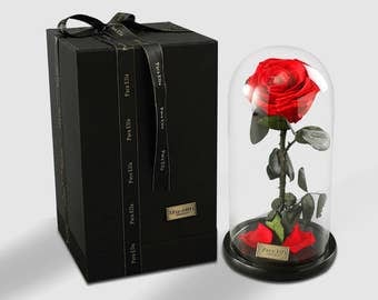 Beauty & the Beast - Preserved Rose in Glass Dome