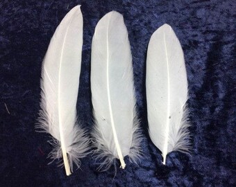 White goose feathers | Etsy