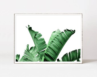 Palm leaf, banana leaf, botanical print, banana leaves, leaf print, banana leaf art, palm print, botanical art, tropical leaf, palm prints